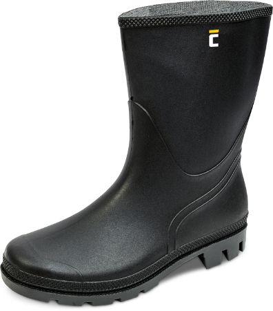 Obrázek pro kategorii Holínky nízké